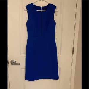 J crew portfolio dress